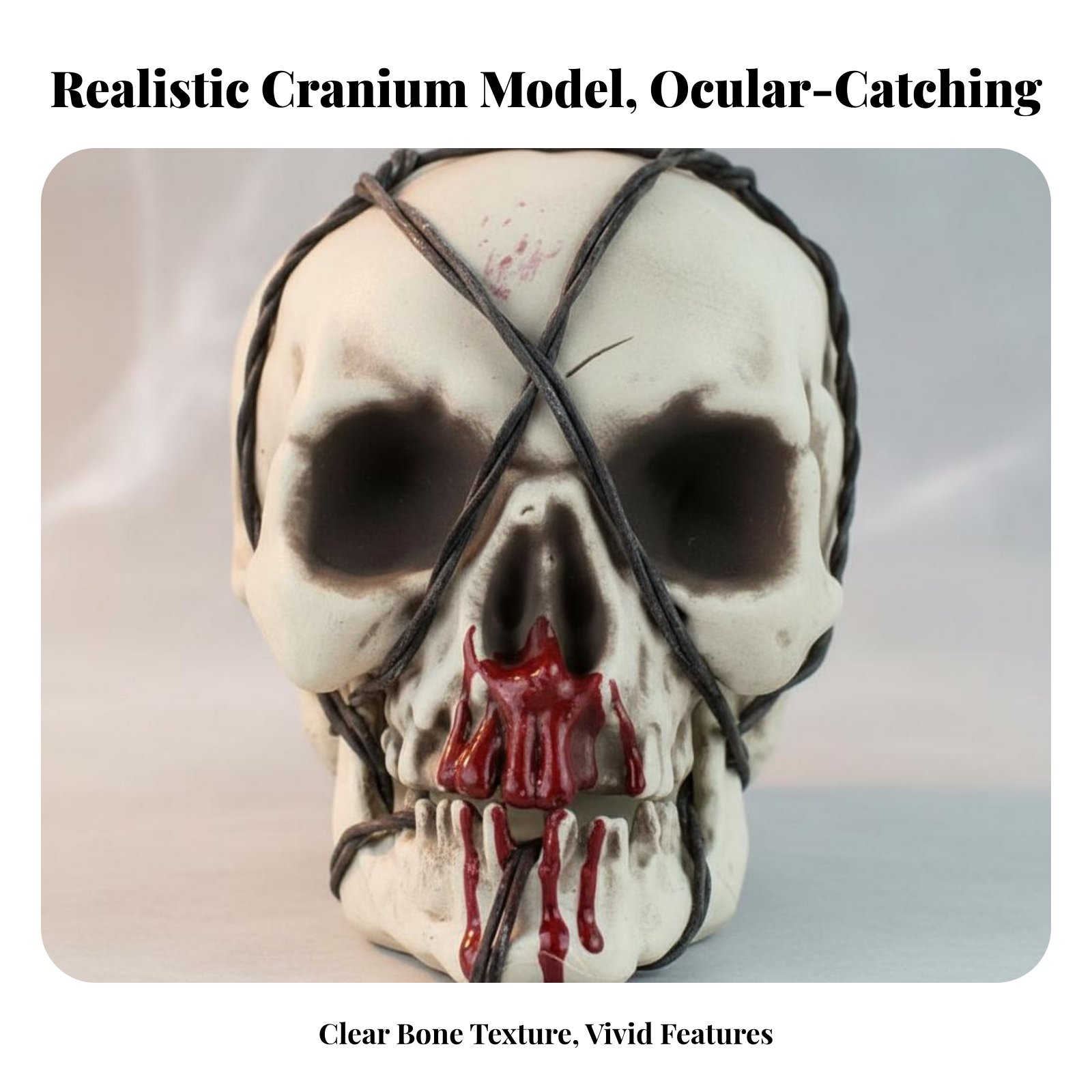 Realistic Skull Model Horror T - مراجعة Lighting Decor وسعره